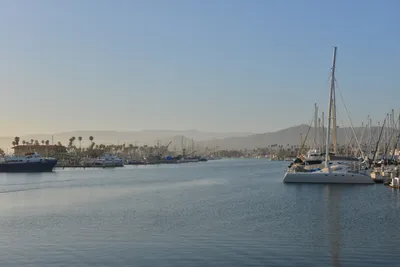 DSC_7235 (Large).JPG